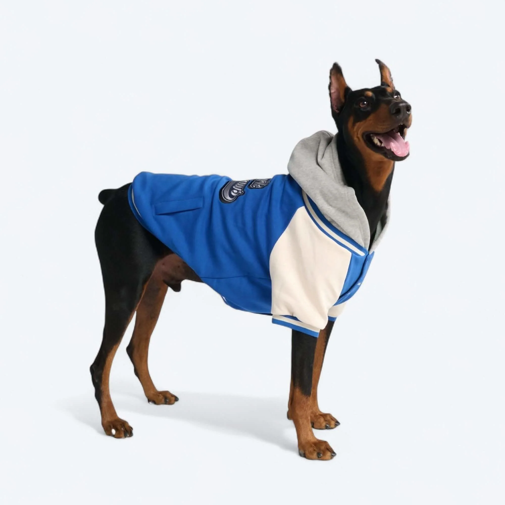 犬用バーシティ ジャケット - Image 24