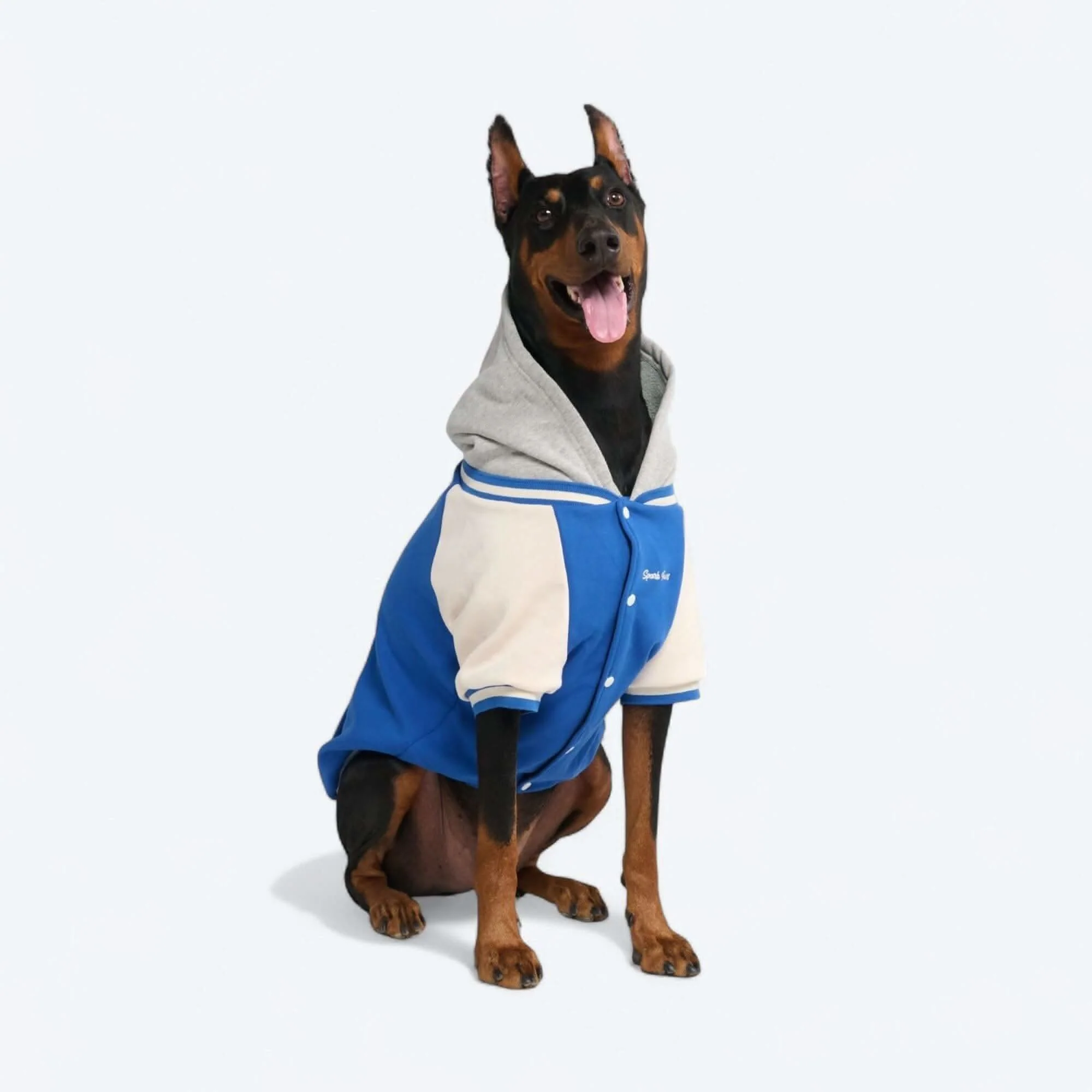 犬用バーシティ ジャケット - Image 27