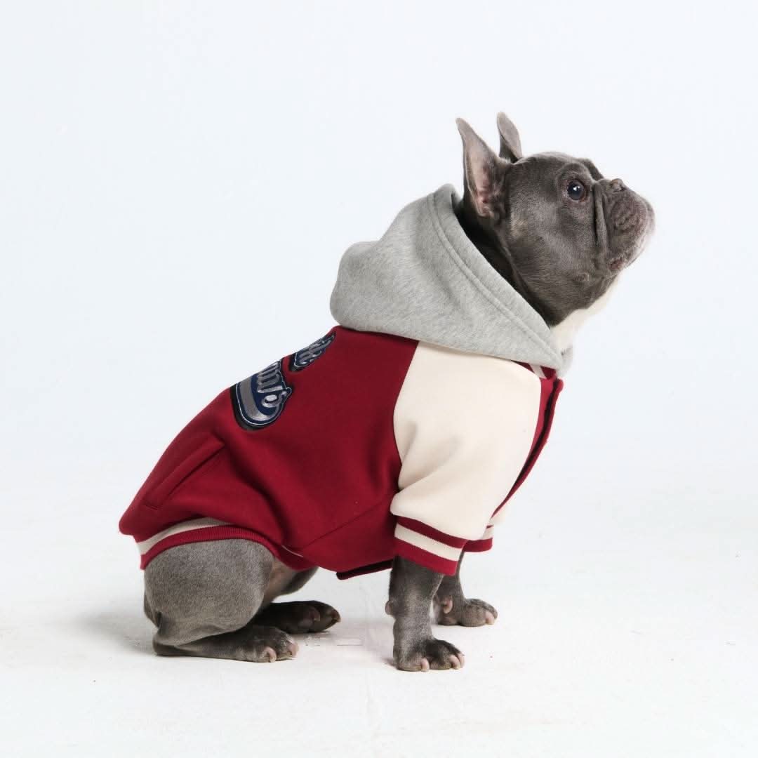 犬用バーシティ ジャケット - Image 3
