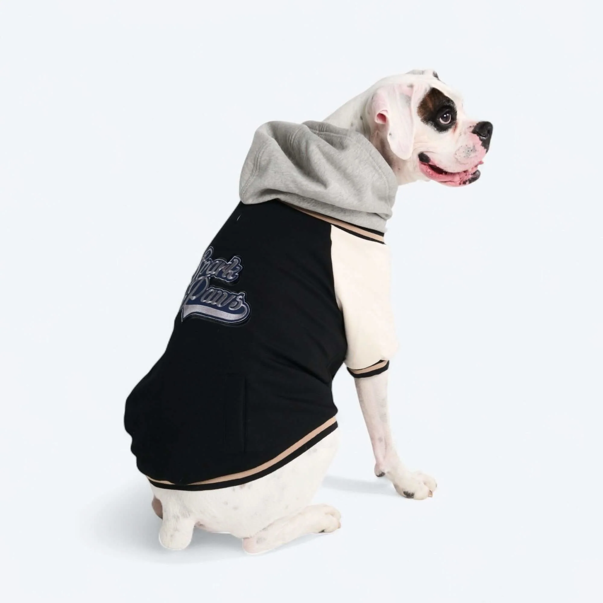 犬用バーシティ ジャケット - Image 32