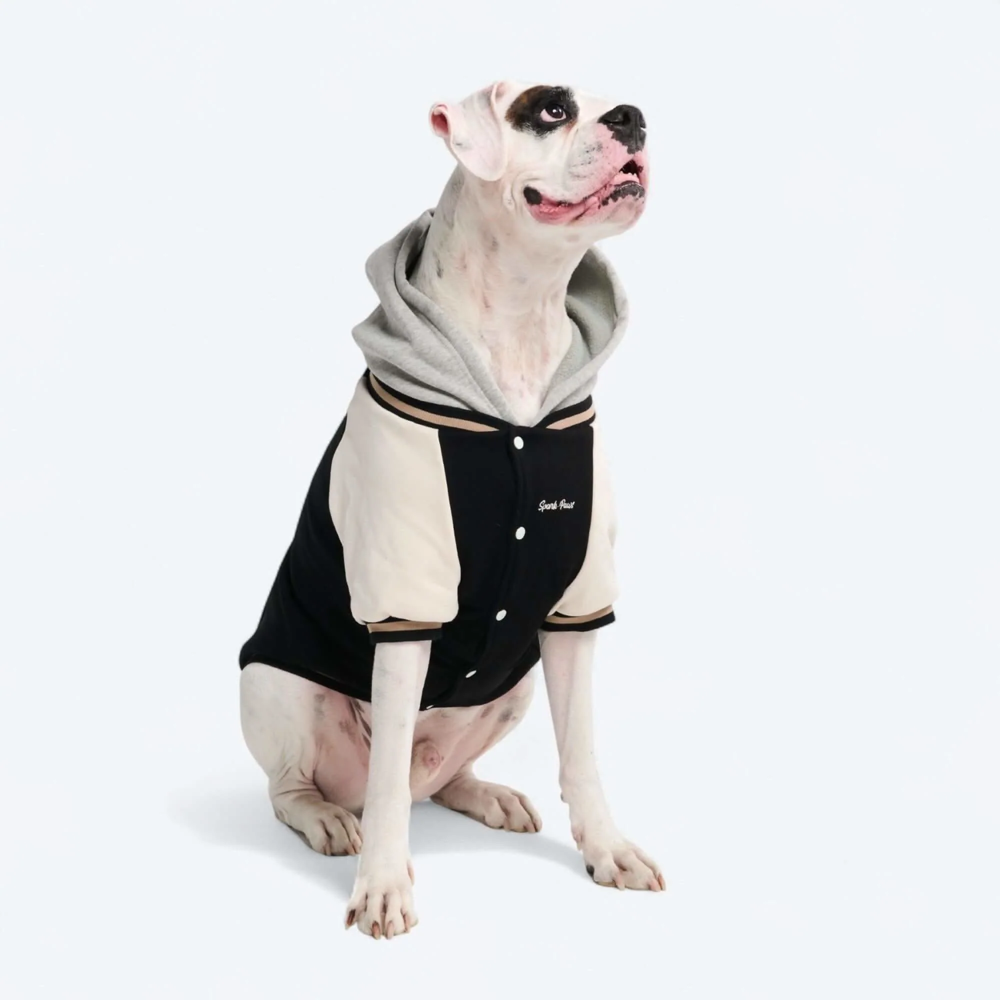 犬用バーシティ ジャケット - Image 34