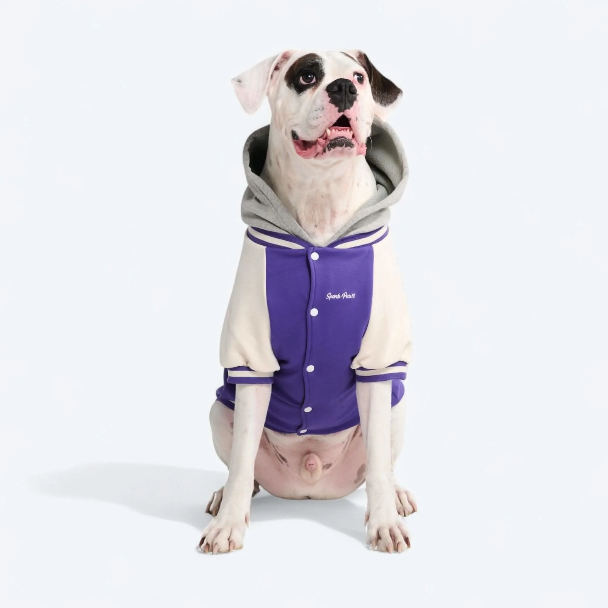 犬用バーシティ ジャケット - Image 6