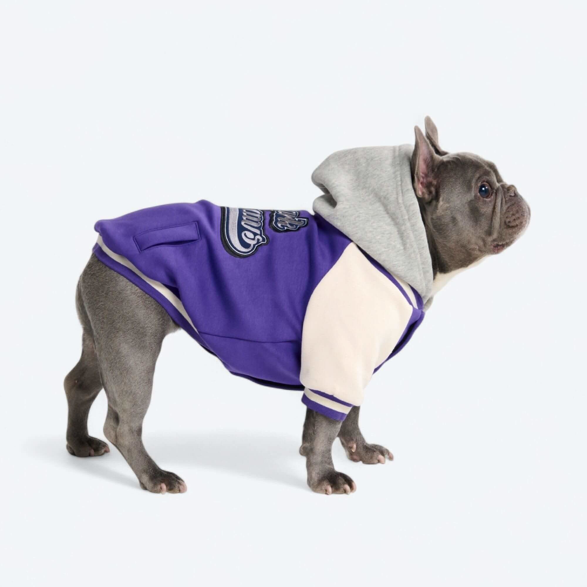 犬用バーシティ ジャケット - Image 8