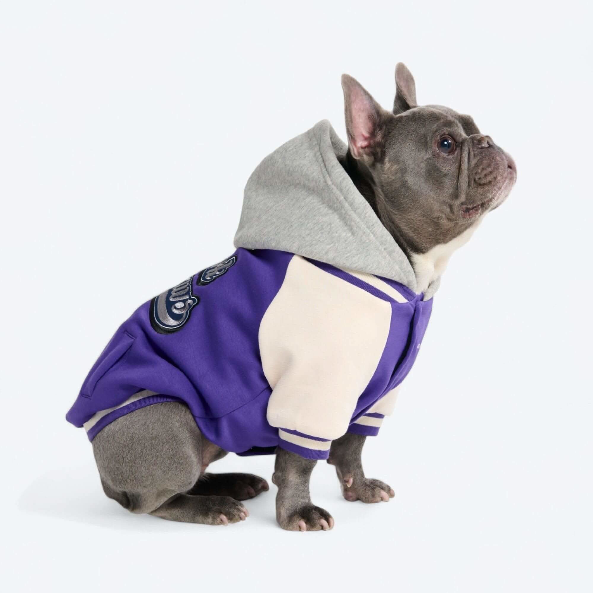 犬用バーシティ ジャケット - Image 9