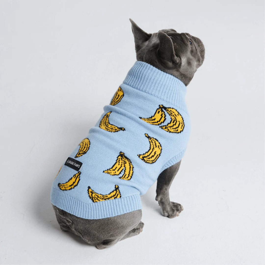 ニット犬セータープリント - Image 16