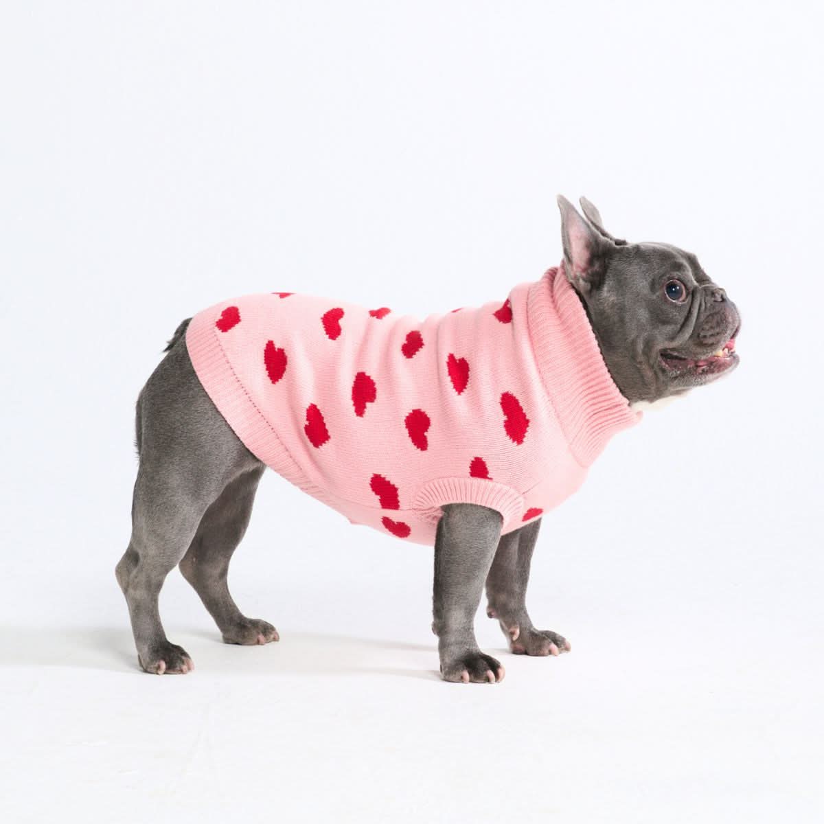 ニット犬セータープリント - Image 28