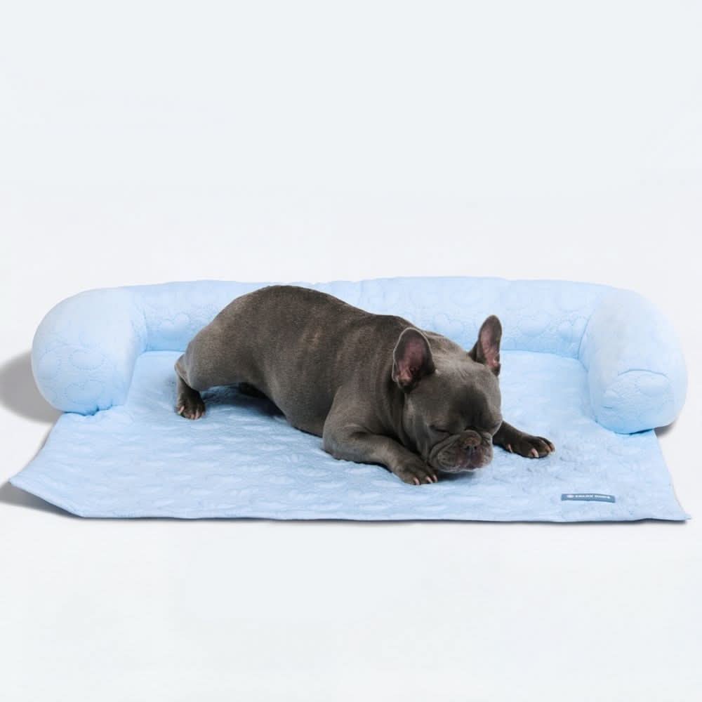 Frostcore™ 冷却ソファーカバー犬用ベッド - ハーツ・ブルー - Image 3