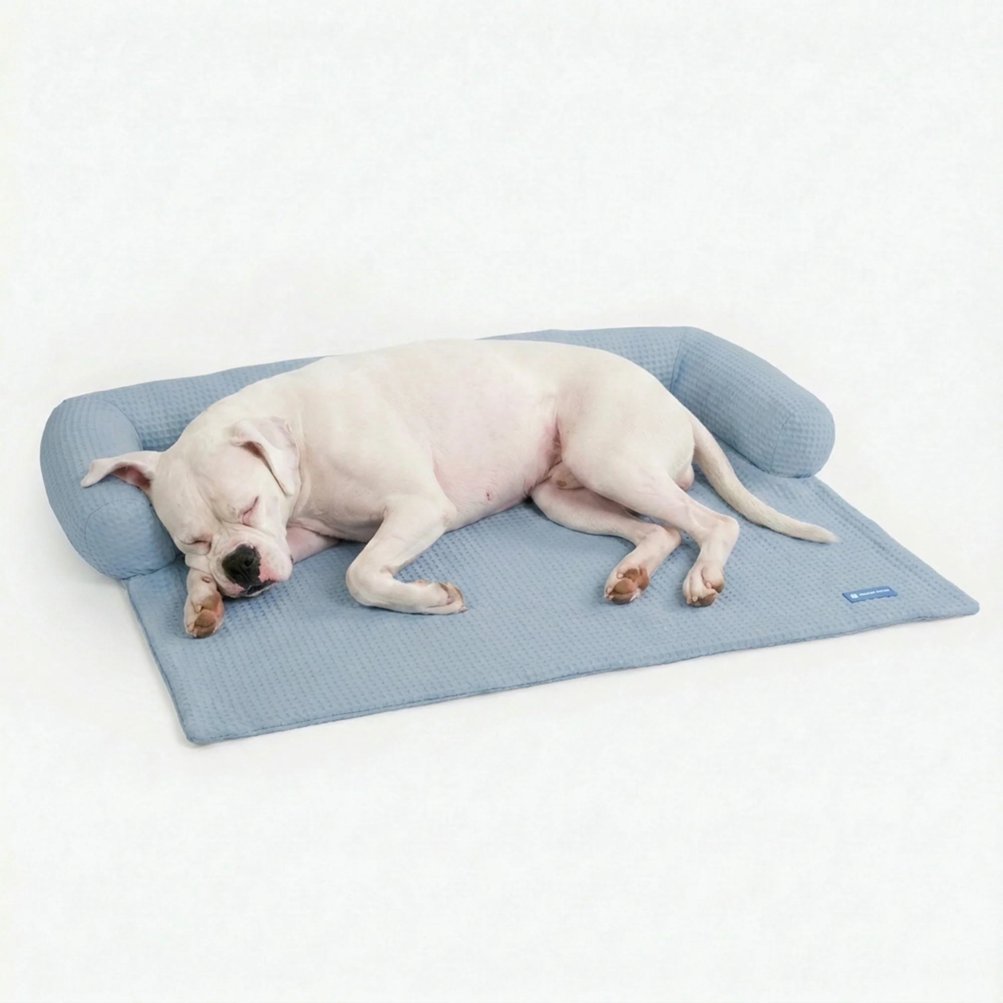 Frostcore™ 冷却ソファーカバー犬用ベッド - Image 65