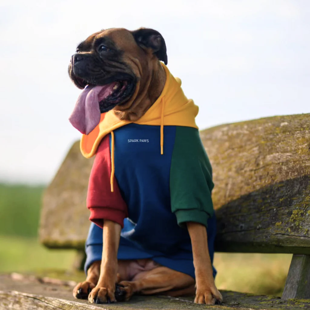 カラーブロック犬パーカー - Image 37