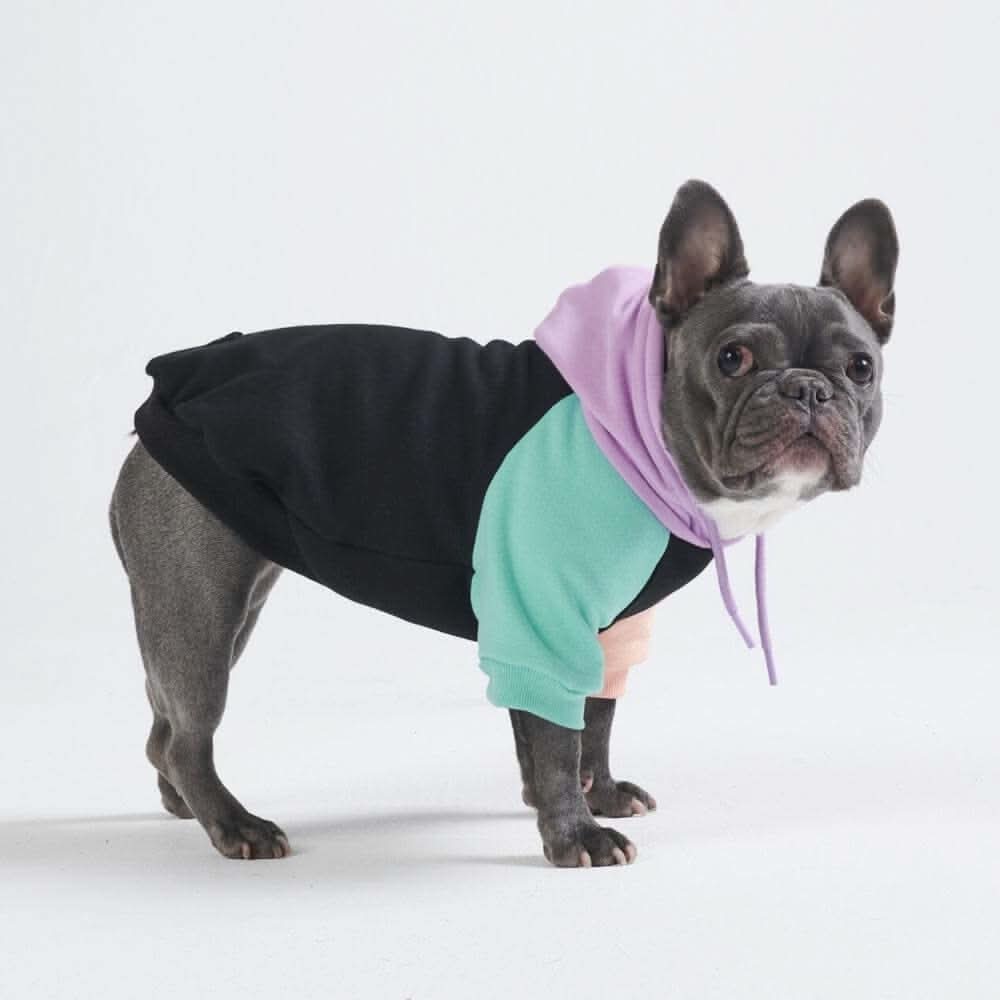 カラーブロック犬パーカー - Image 4