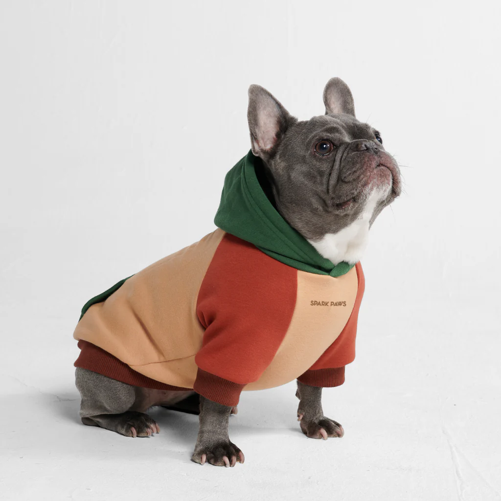 カラーブロック犬パーカー - Image 41