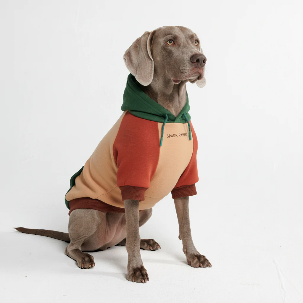 カラーブロック犬パーカー - Image 43