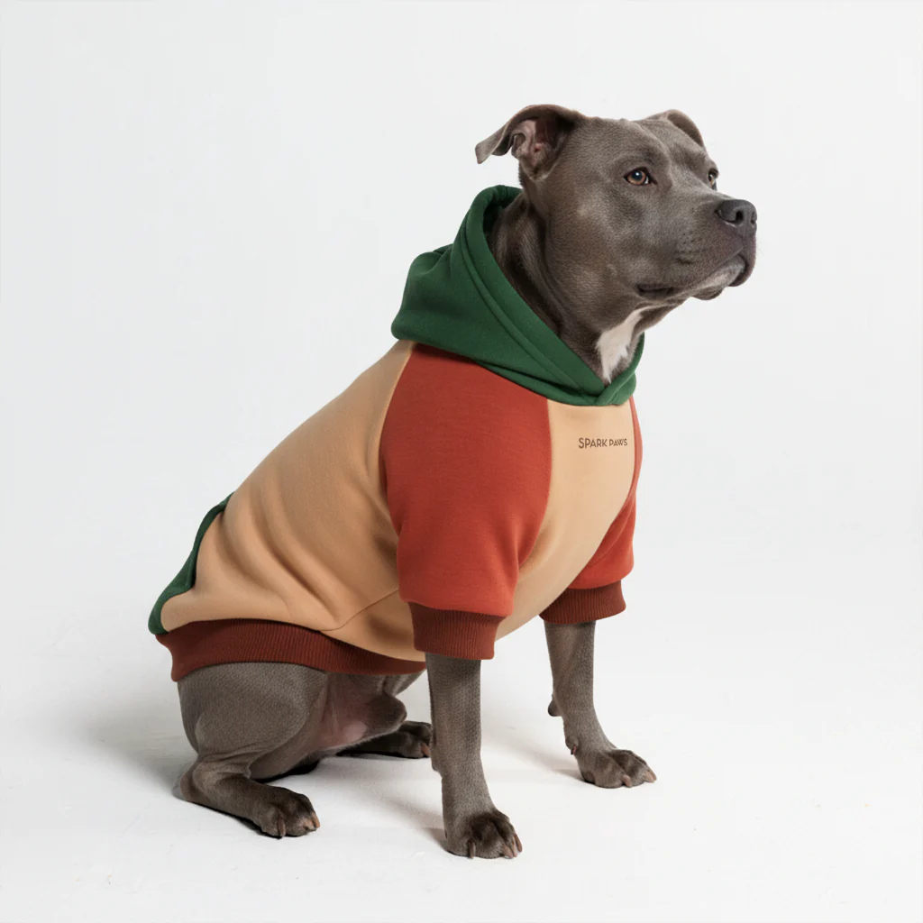 カラーブロック犬パーカー - Image 44