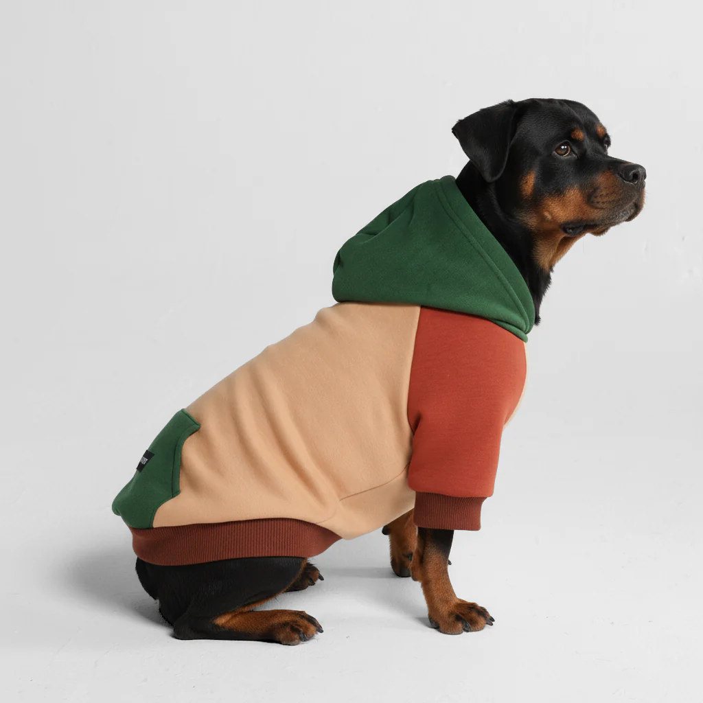 カラーブロック犬パーカー - Image 45