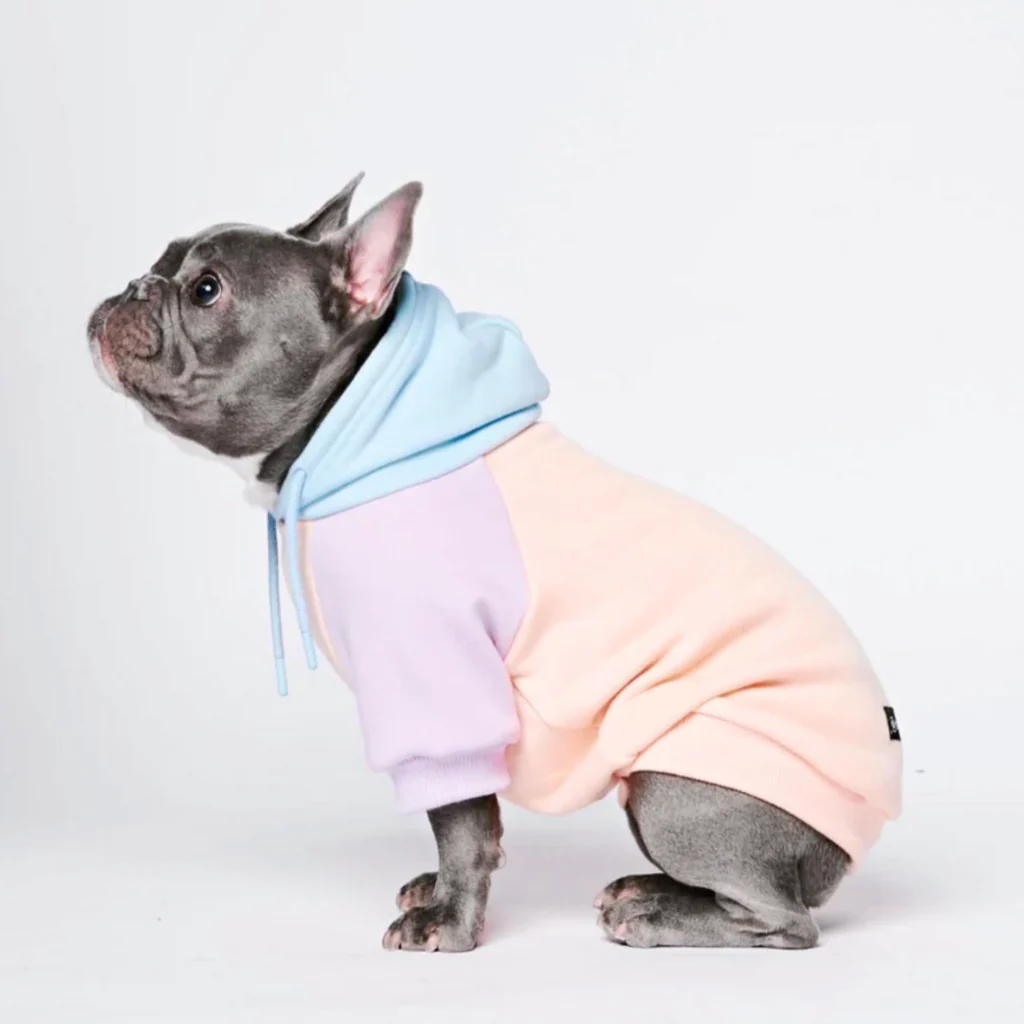 カラーブロック犬パーカー - Image 51