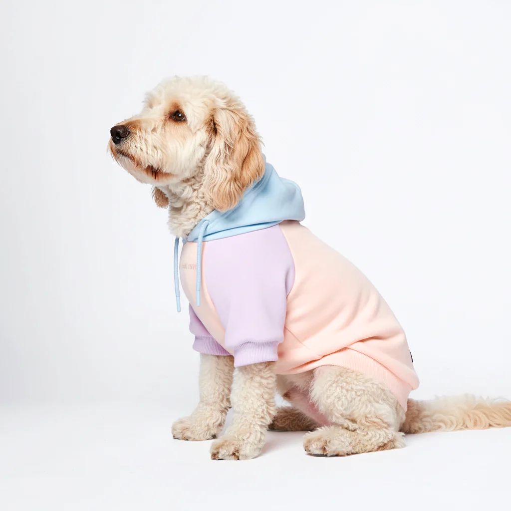 カラーブロック犬パーカー - Image 54