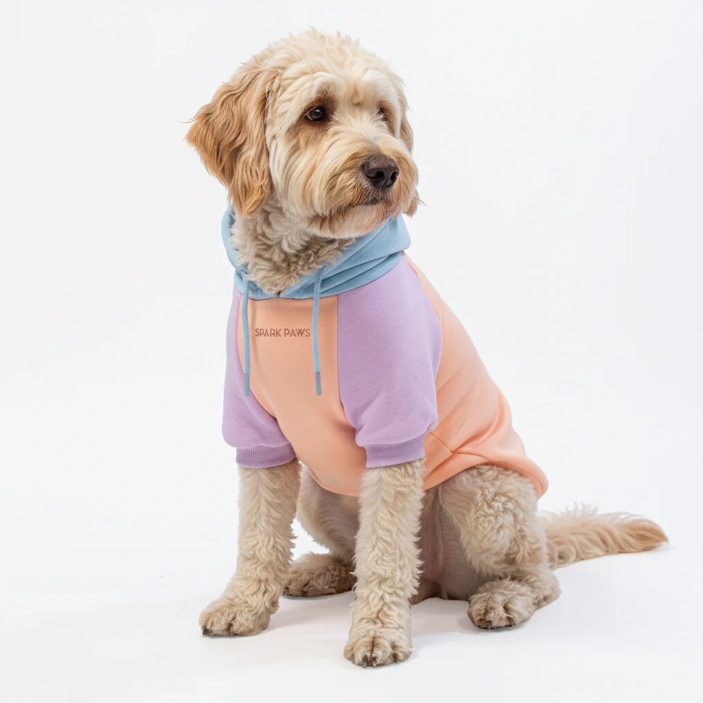 カラーブロック犬パーカー - Image 55