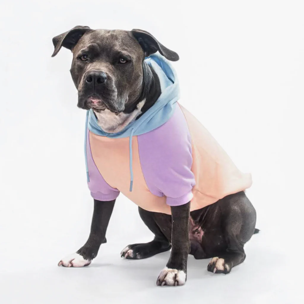 カラーブロック犬パーカー - Image 56