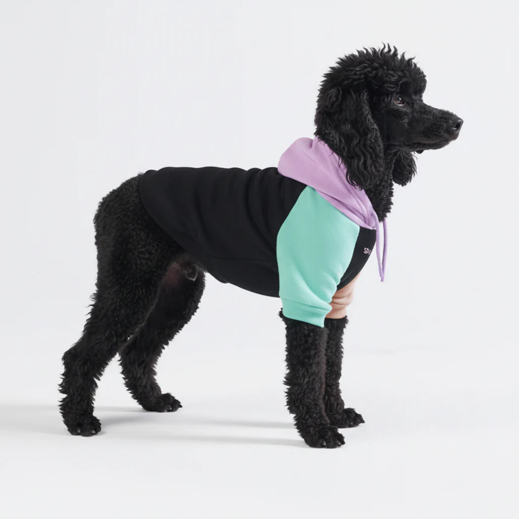 カラーブロック犬パーカー - Image 6