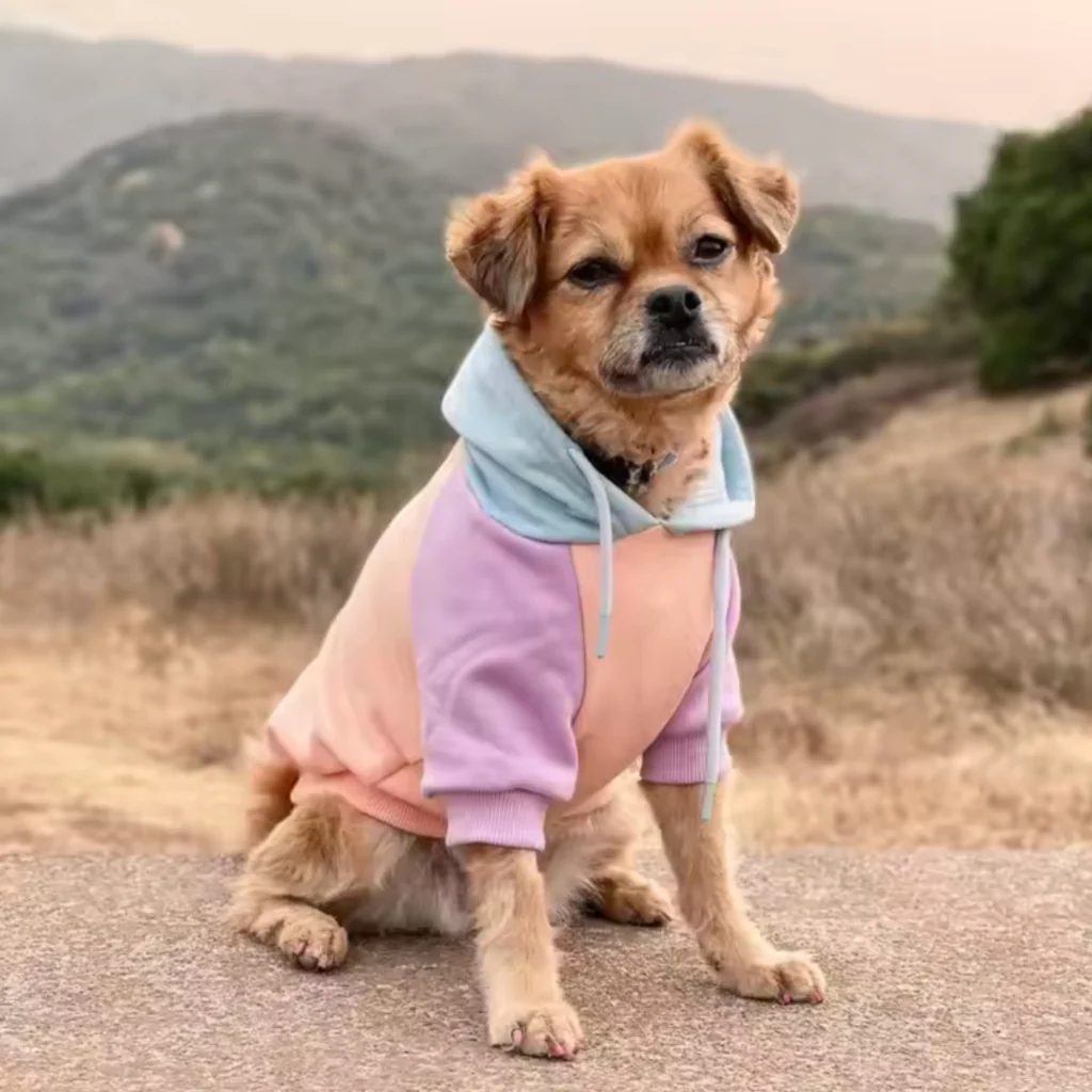 カラーブロック犬パーカー - Image 62