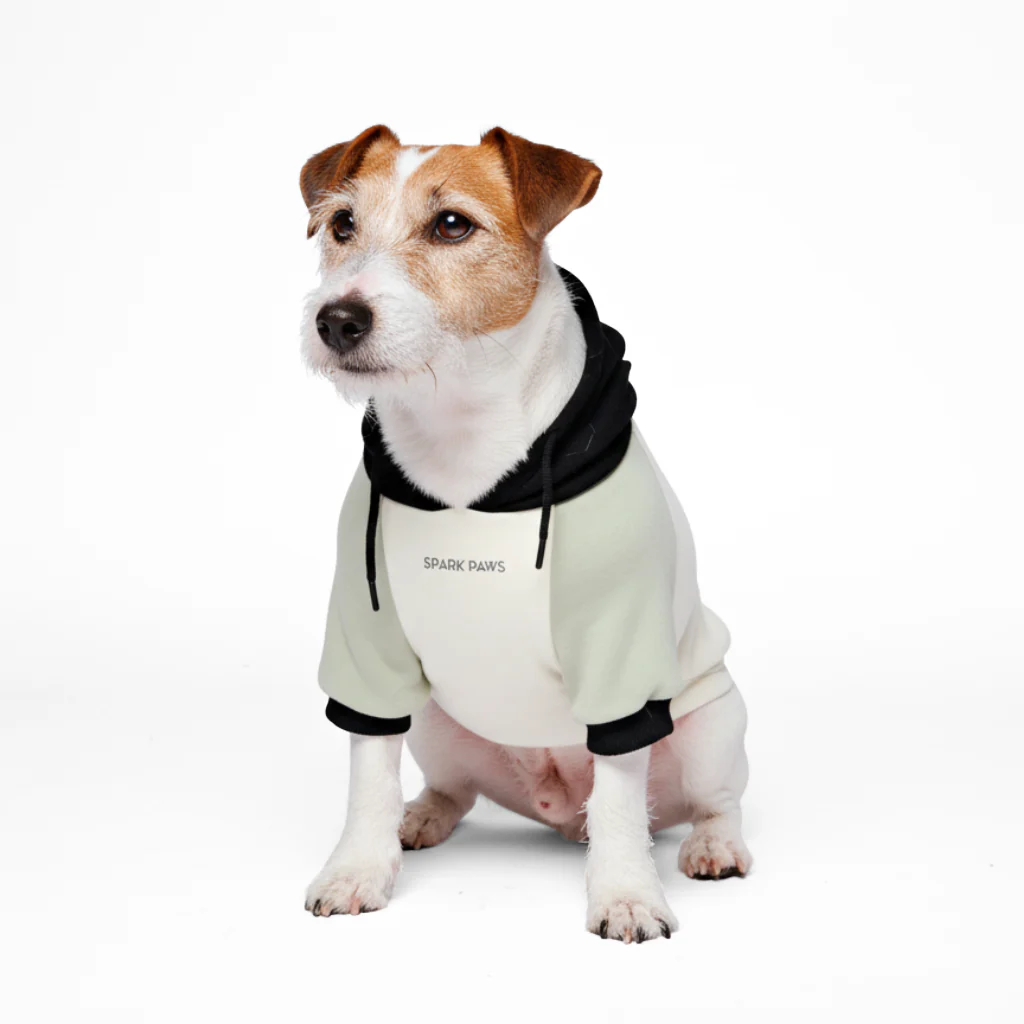 カラーブロック犬パーカー - Image 65