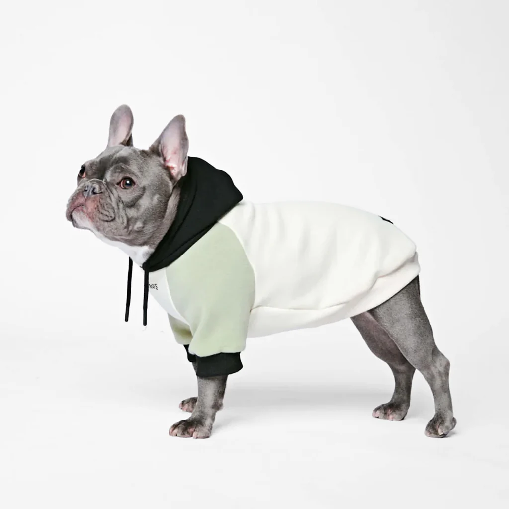カラーブロック犬パーカー - Image 66