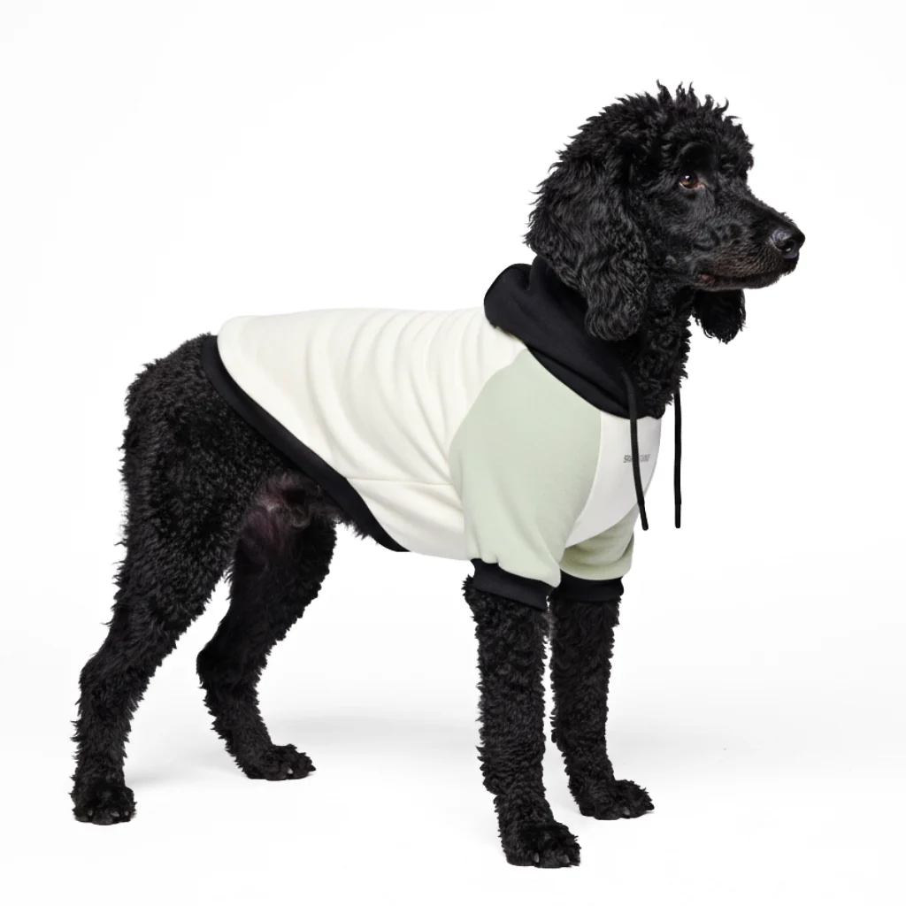 カラーブロック犬パーカー - Image 68