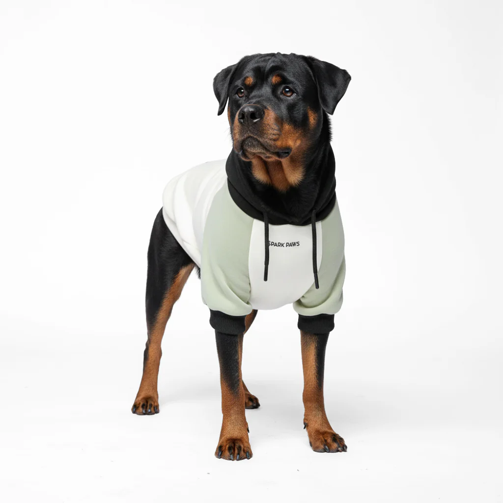 カラーブロック犬パーカー - Image 69