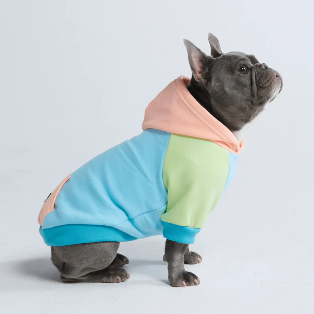 カラーブロック犬パーカー - Image 79