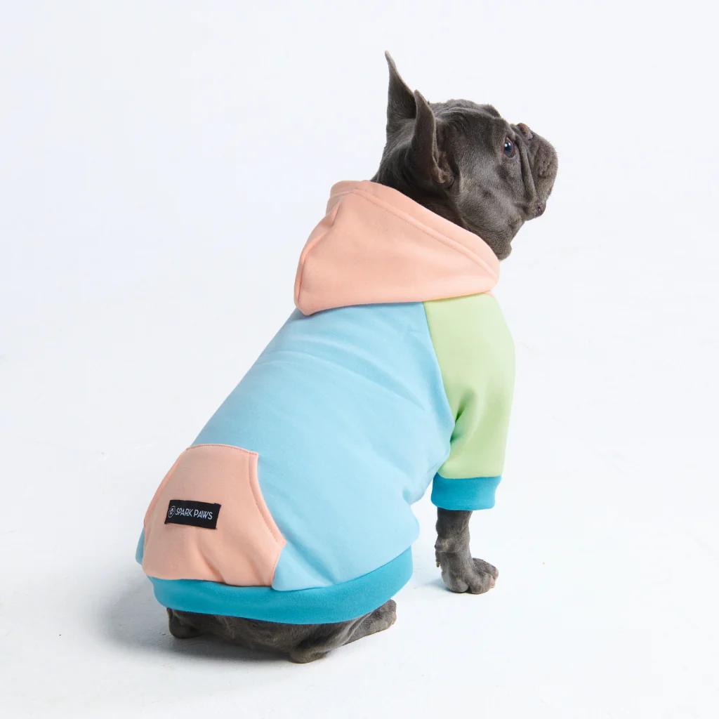 カラーブロック犬パーカー - Image 84