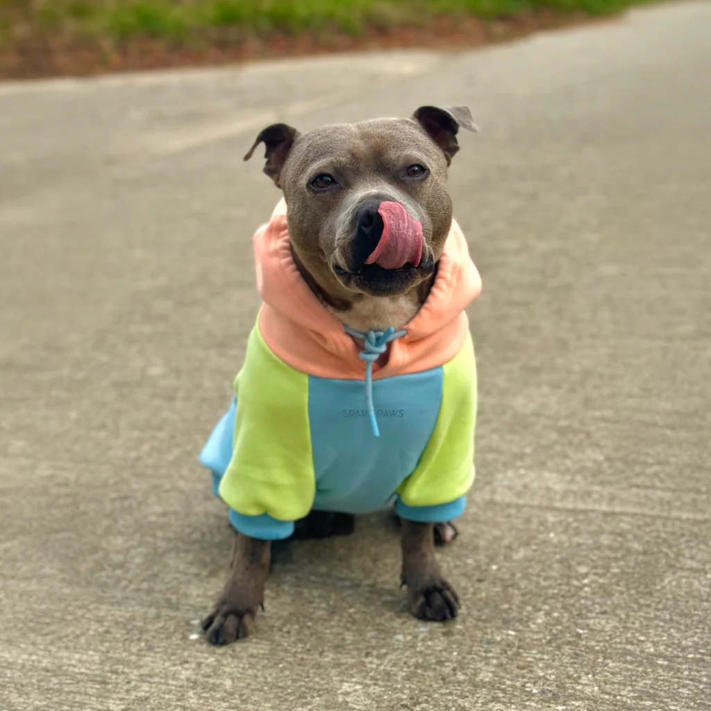 カラーブロック犬パーカー - Image 86