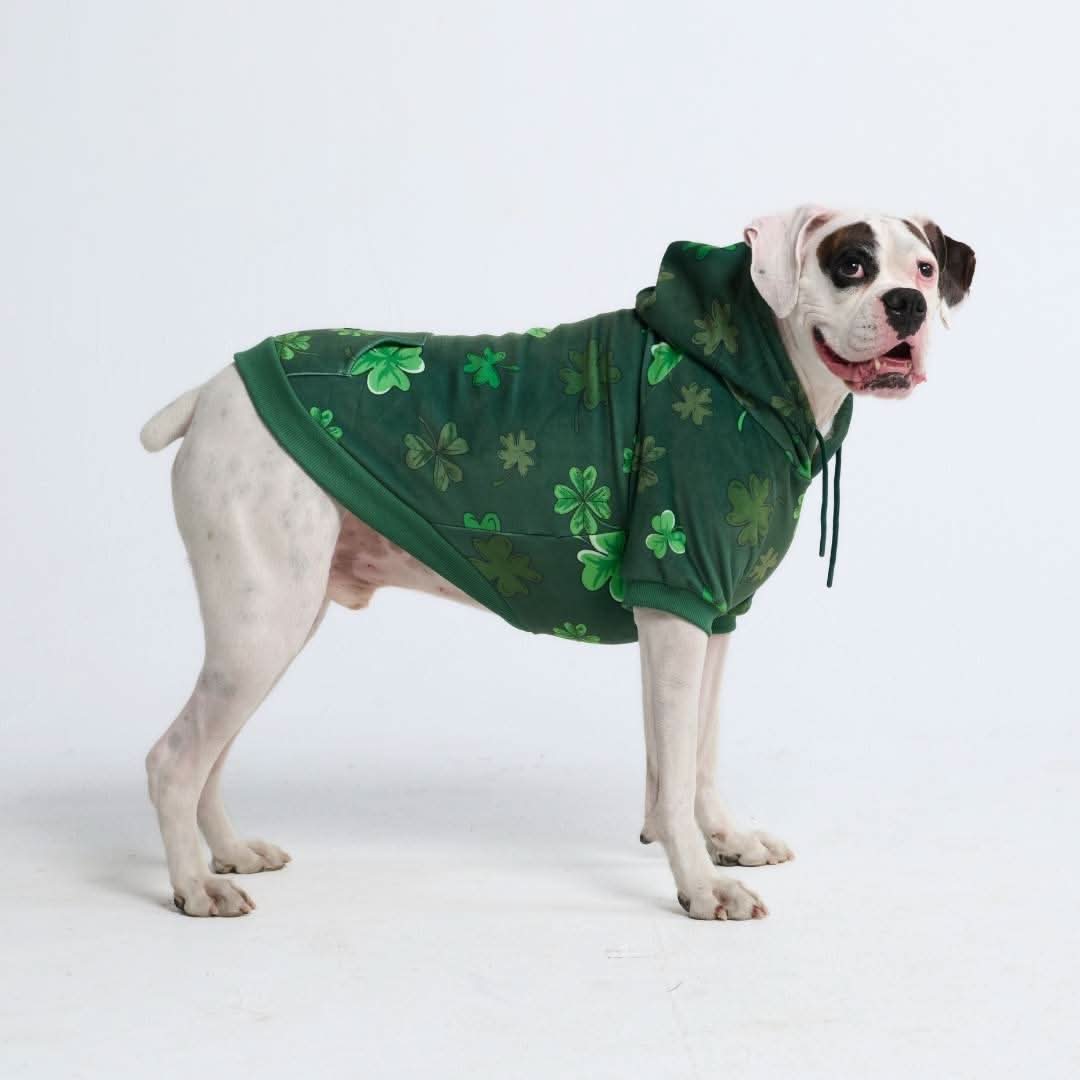 セント パティーズ 犬用パーカー