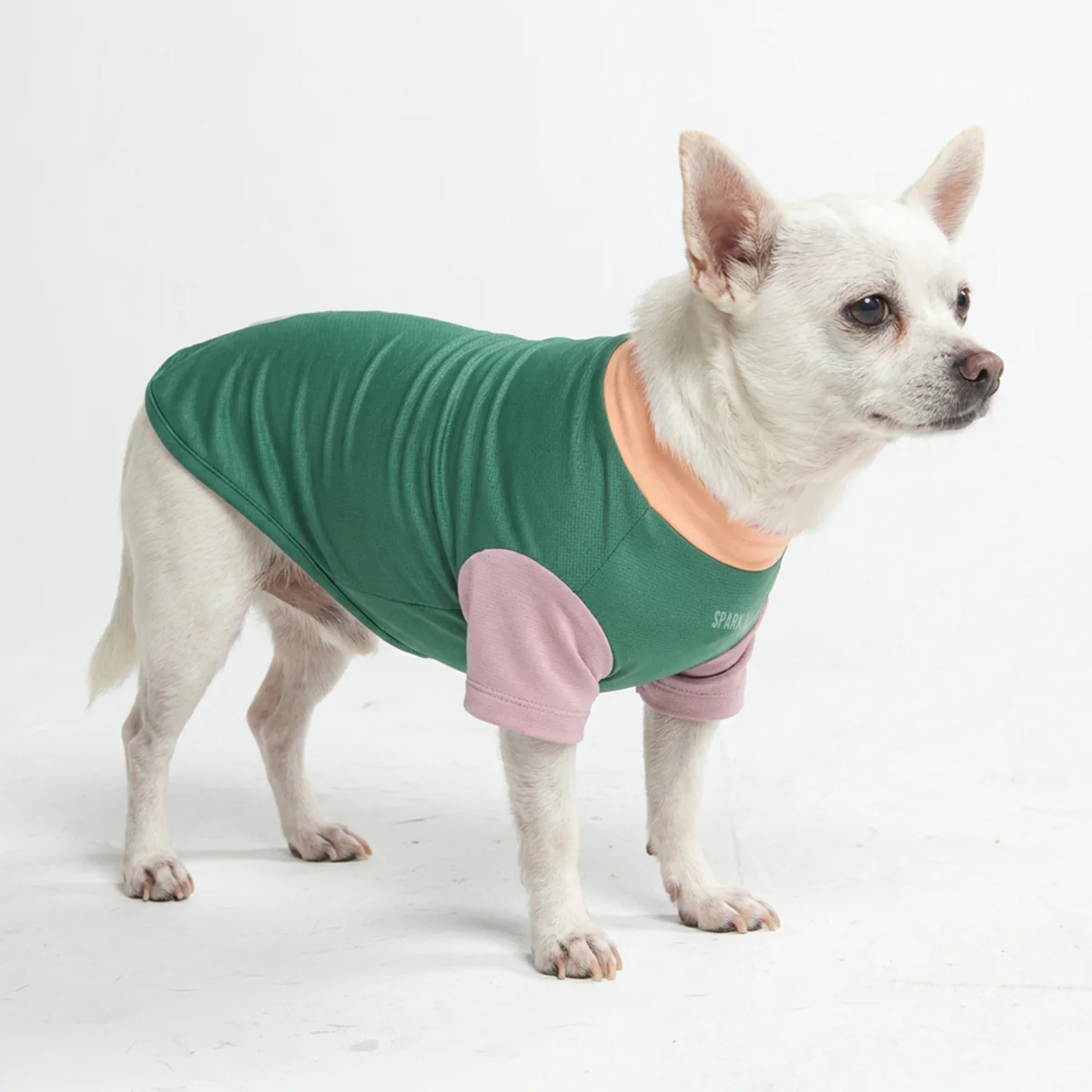 サンブロック・ドッグTシャツ(カラーブロック) - Image 26