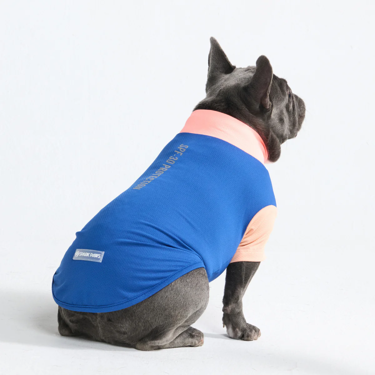 サンブロック・ドッグTシャツ(カラーブロック) - Image 35