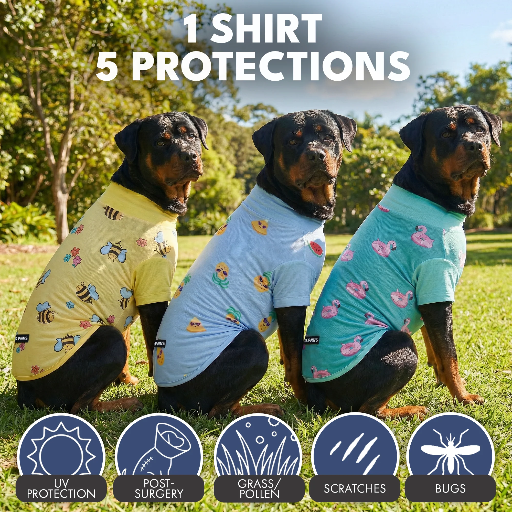 日焼け止め犬用Tシャツ（3枚パック） - ビー、フラミンゴ、パイナップル - Image 6