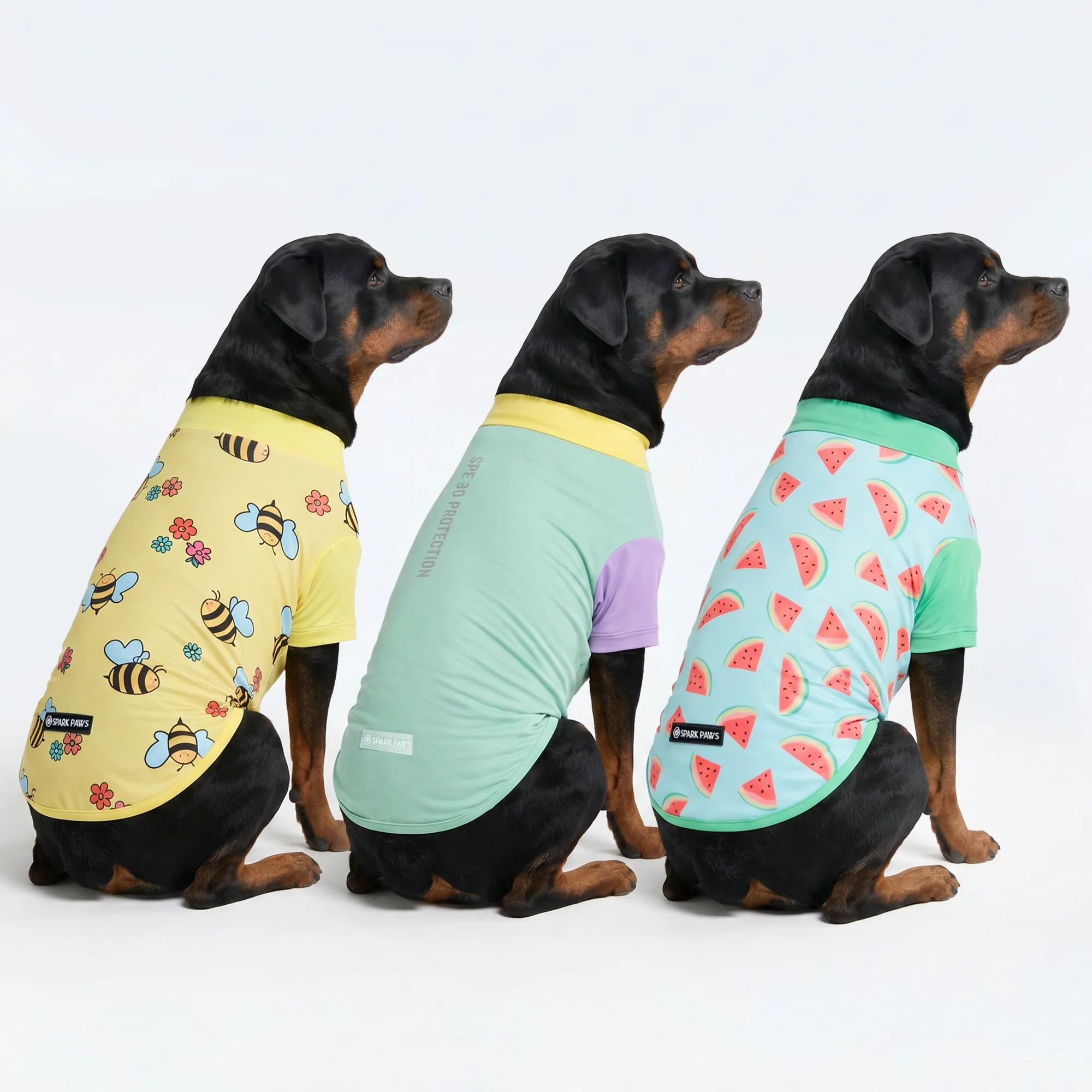日焼け止め犬用Tシャツ（3枚パック） - ブリーズ、ビー、ウォーターメロン - Image 4