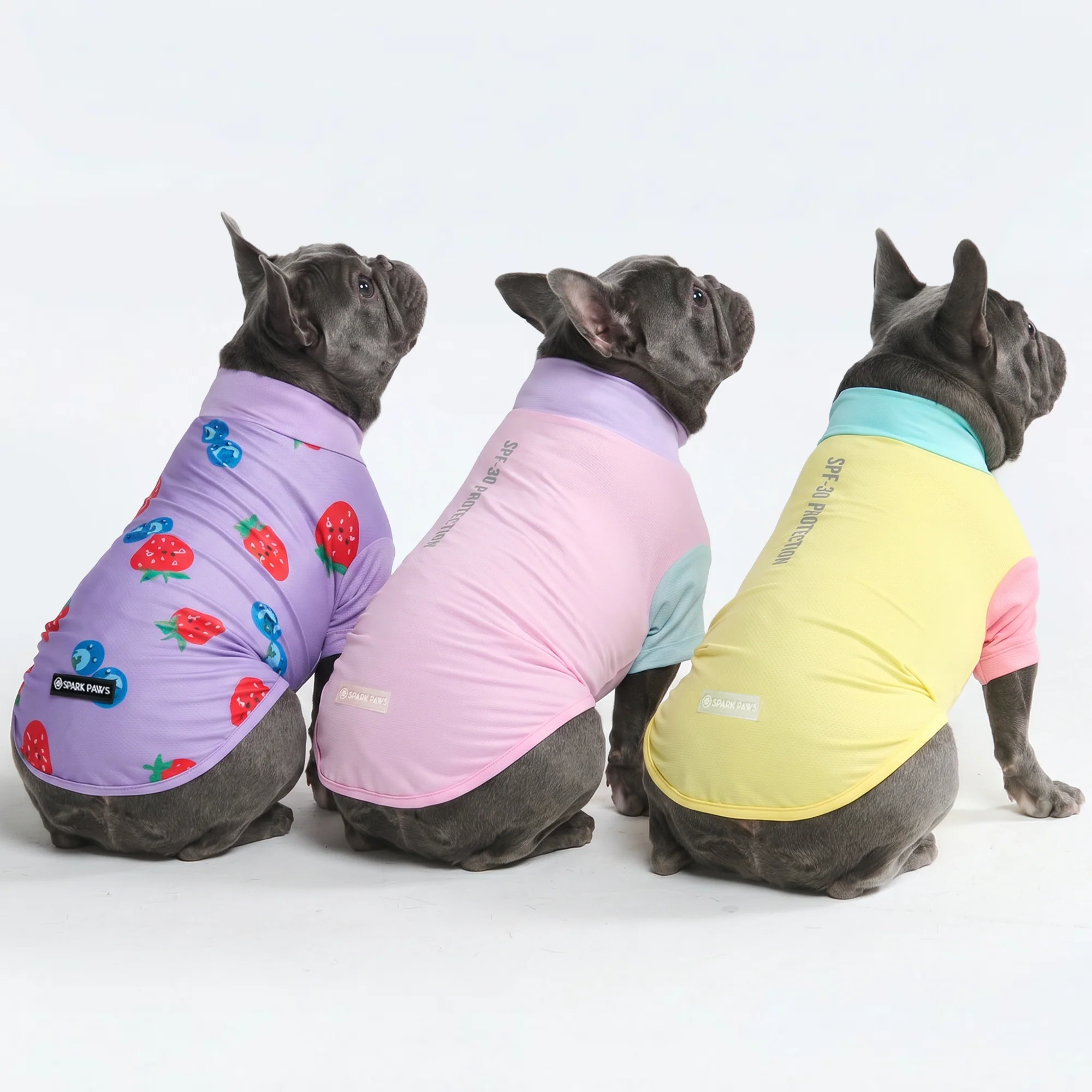 日焼け止め犬用Tシャツ(3枚パック) - ジェラート、ゆず、ベリー