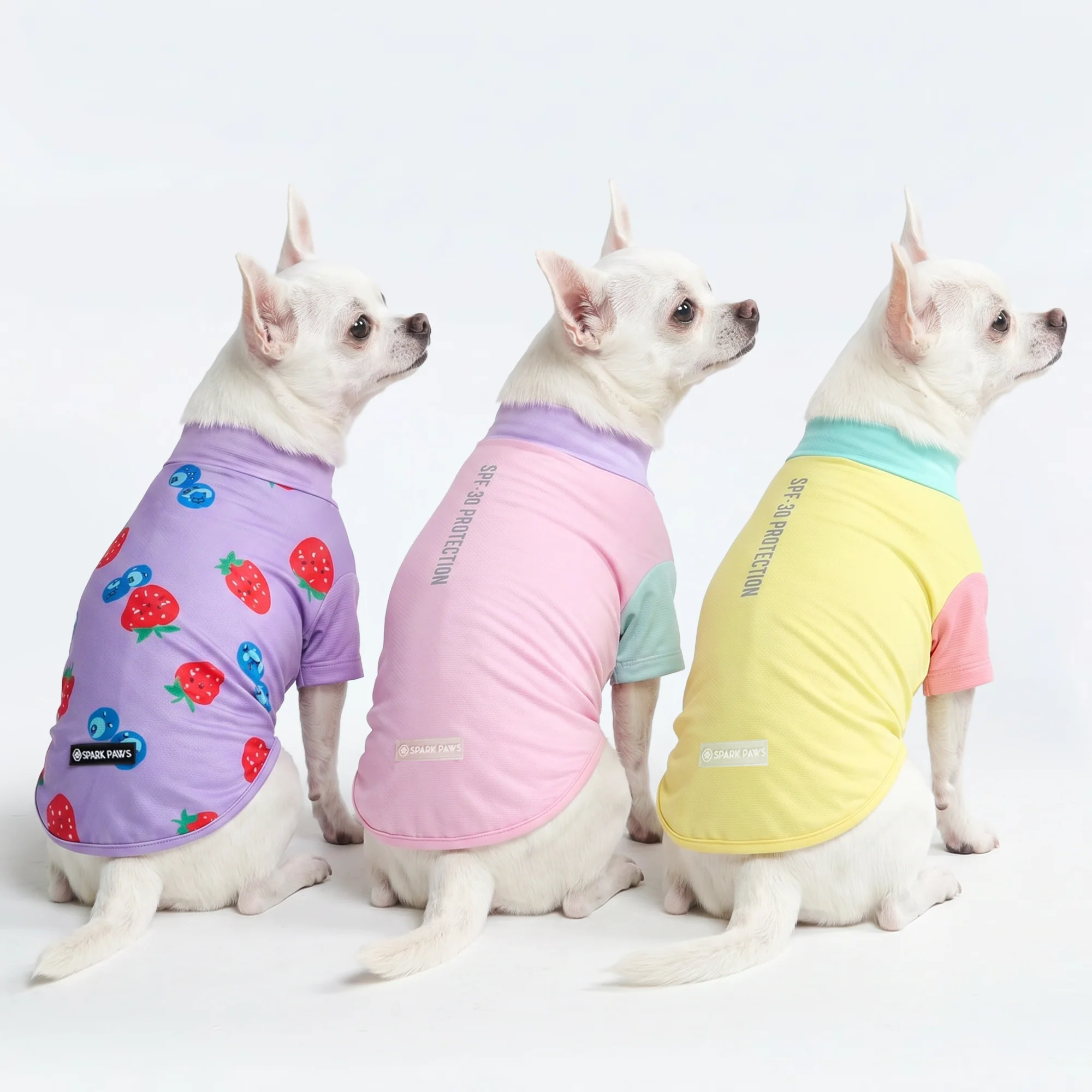 日焼け止め犬用Tシャツ(3枚パック) - ジェラート、ゆず、ベリー - Image 2