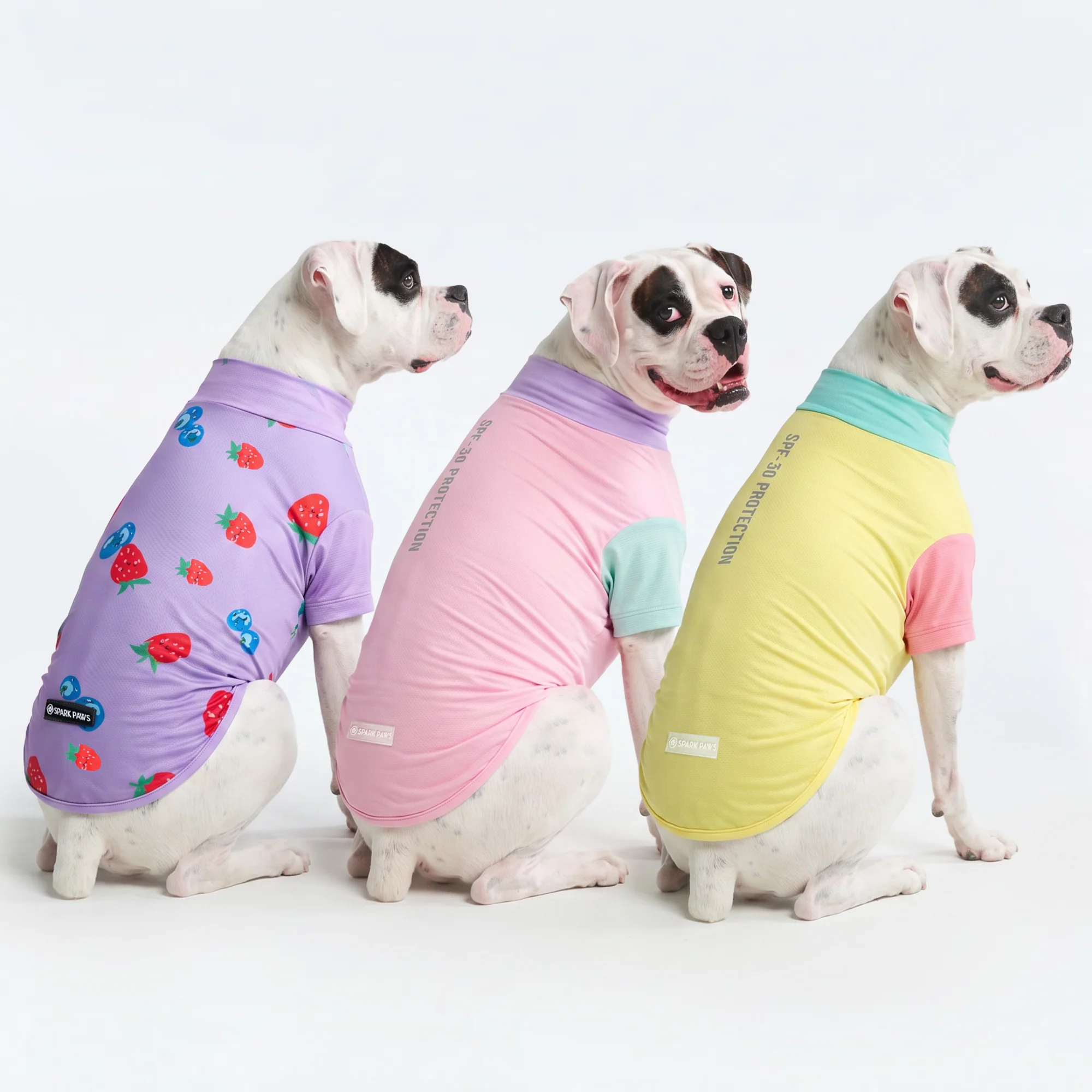 日焼け止め犬用Tシャツ(3枚パック) - ジェラート、ゆず、ベリー - Image 3
