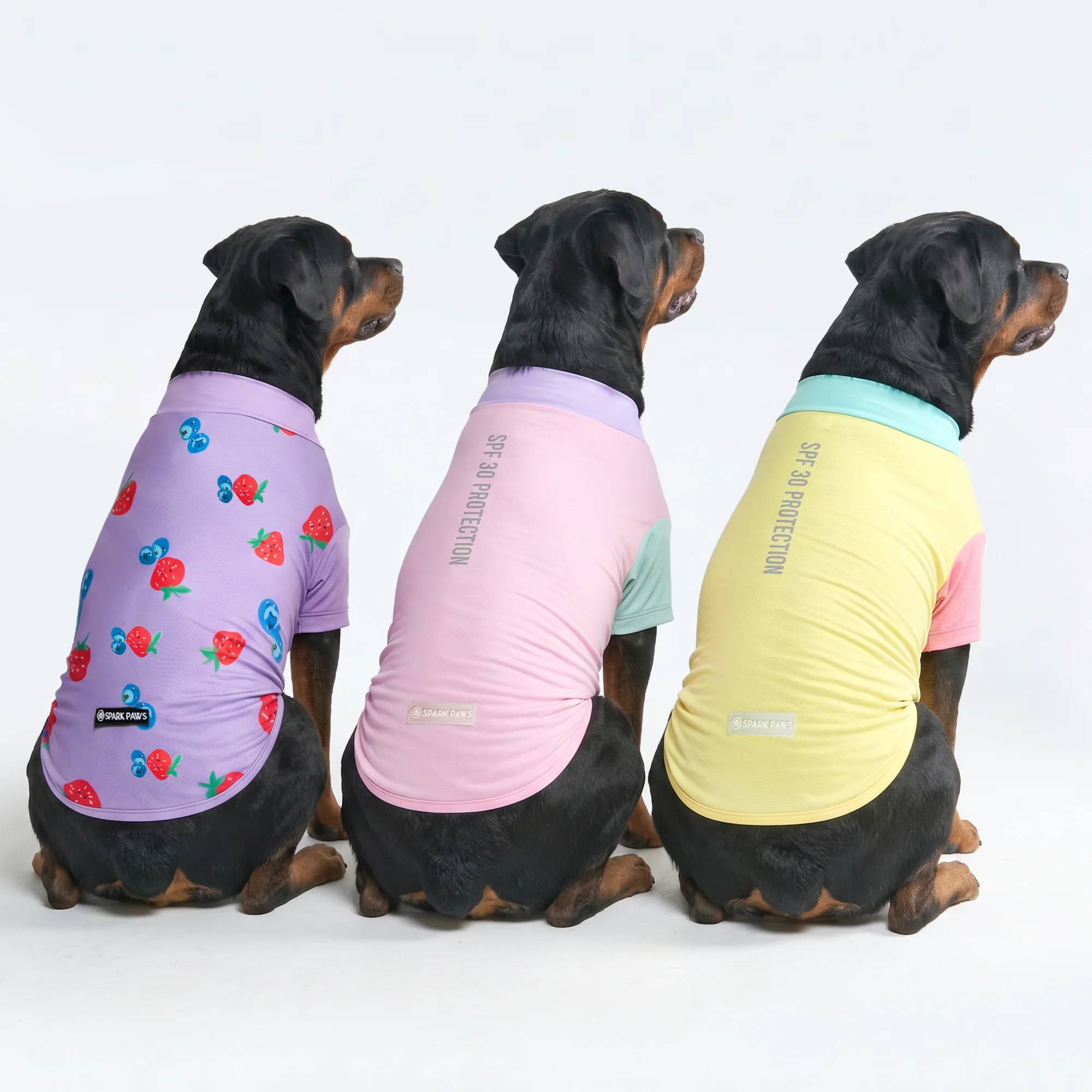 日焼け止め犬用Tシャツ(3枚パック) - ジェラート、ゆず、ベリー - Image 4