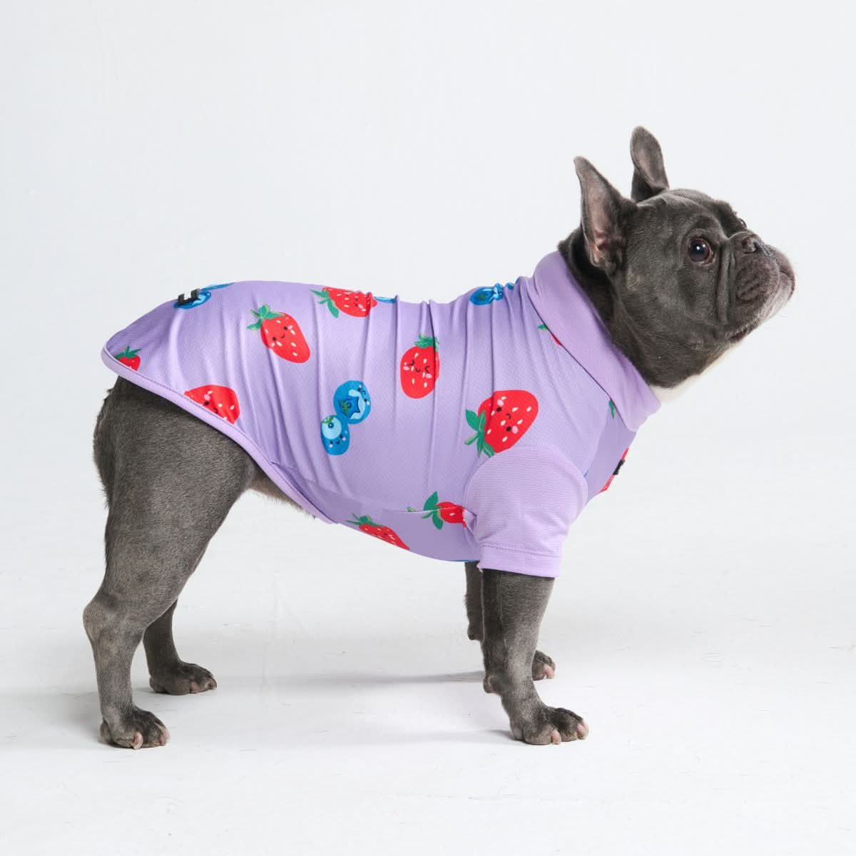 サンブロック犬用Tシャツ - プリント - Image 29