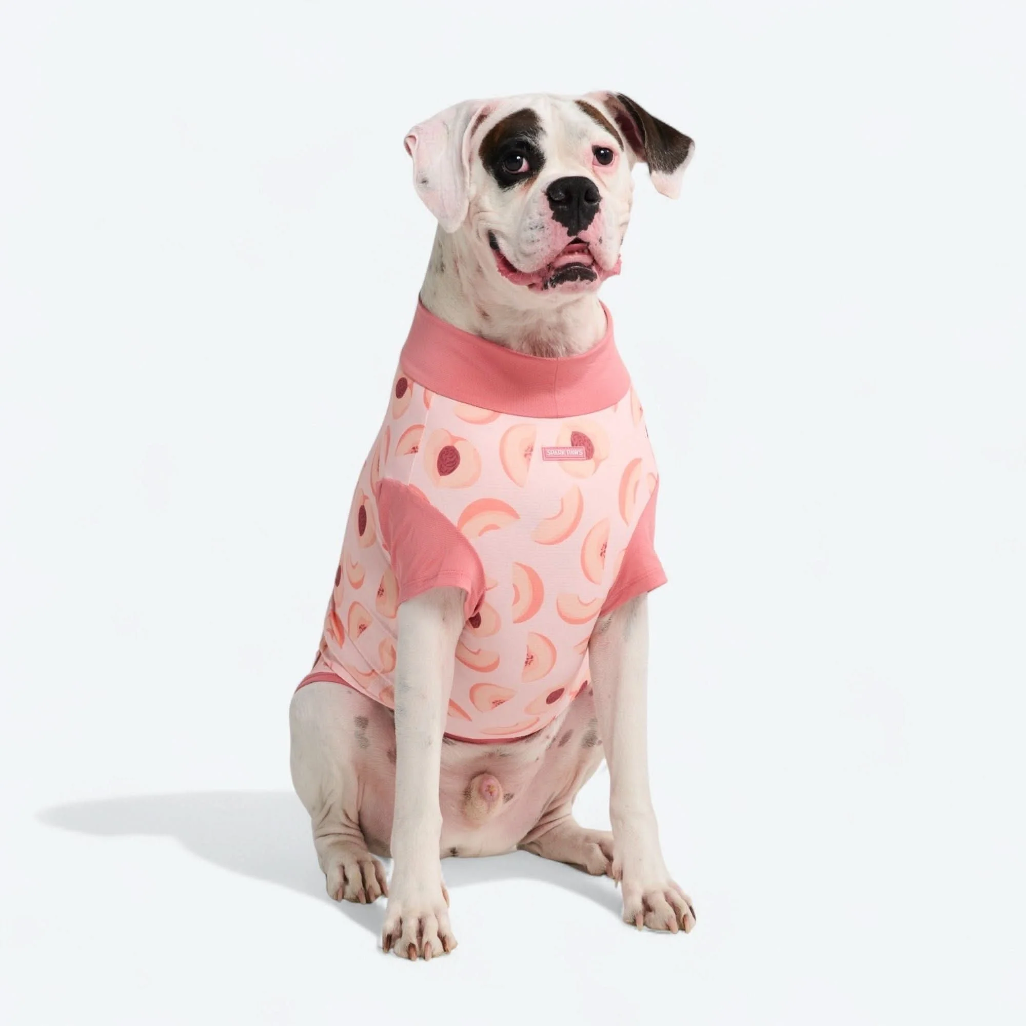 サンブロック犬用Tシャツ - プリント - Image 50