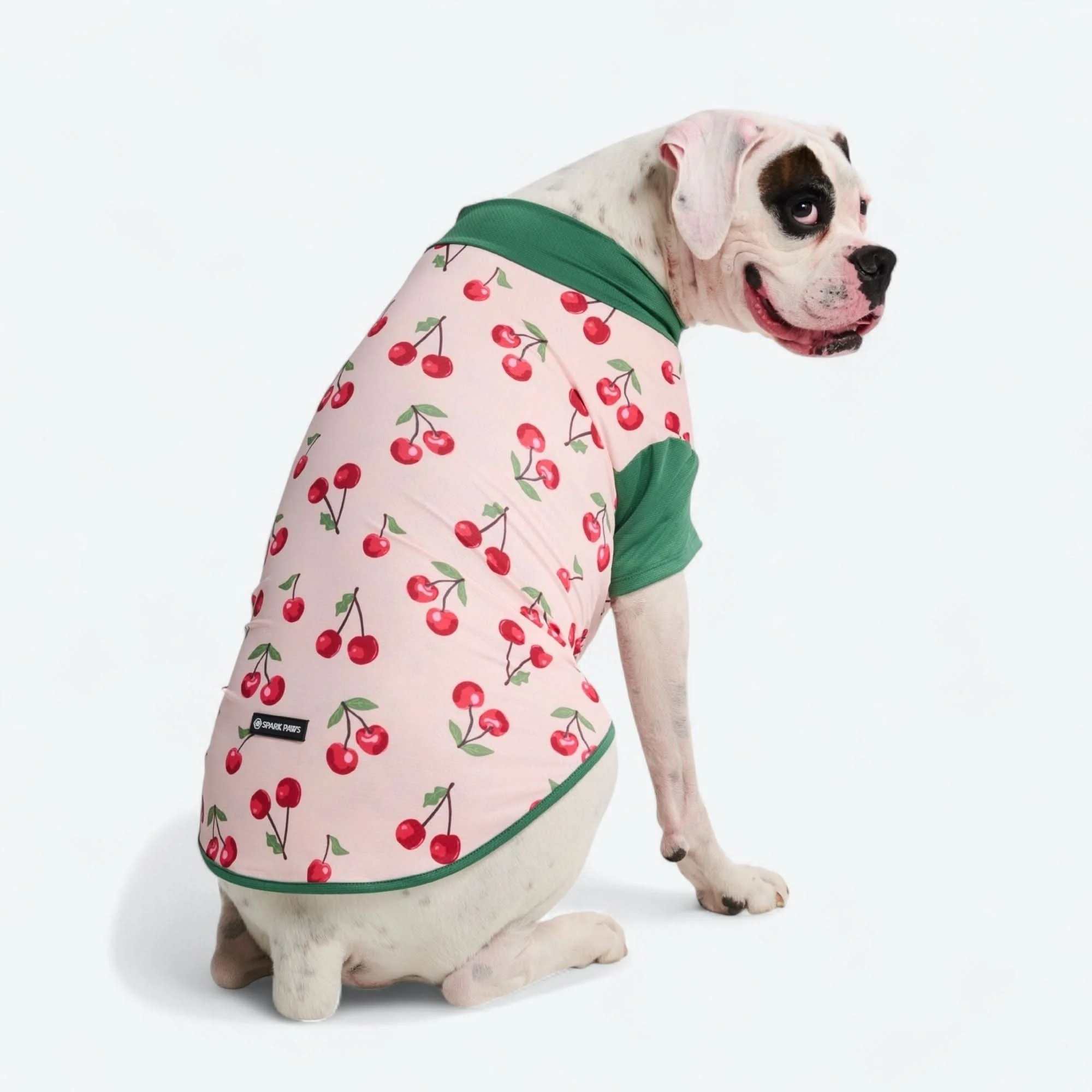 サンブロック犬用Tシャツ - プリント - Image 54