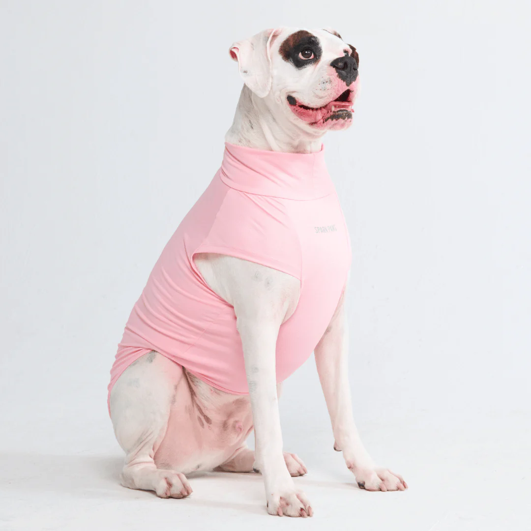 日焼け止め犬用Tシャツ - Image 10