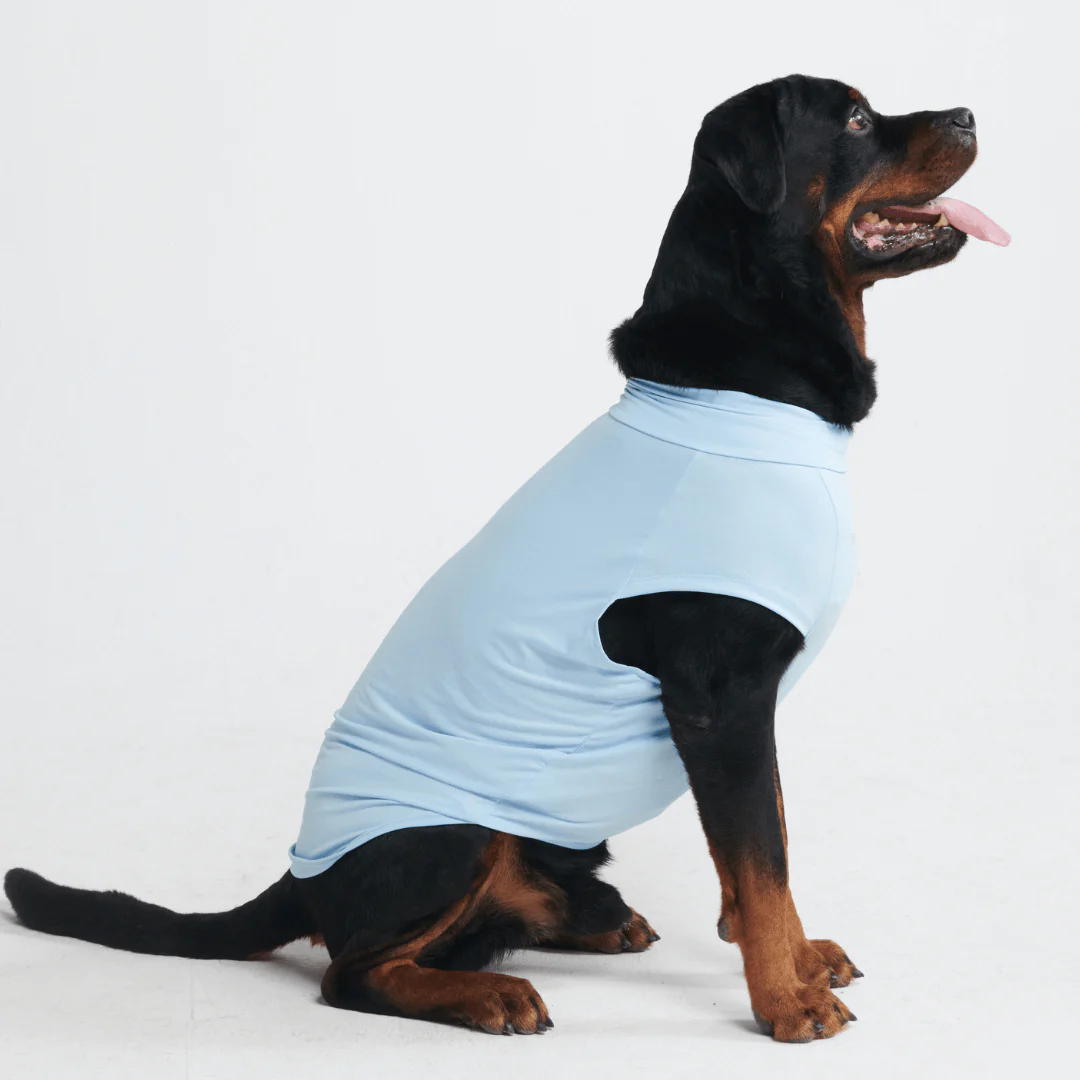日焼け止め犬用Tシャツ - Image 14
