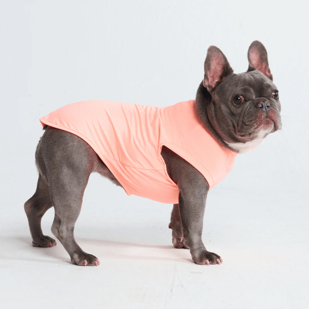 日焼け止め犬用Tシャツ - Image 25