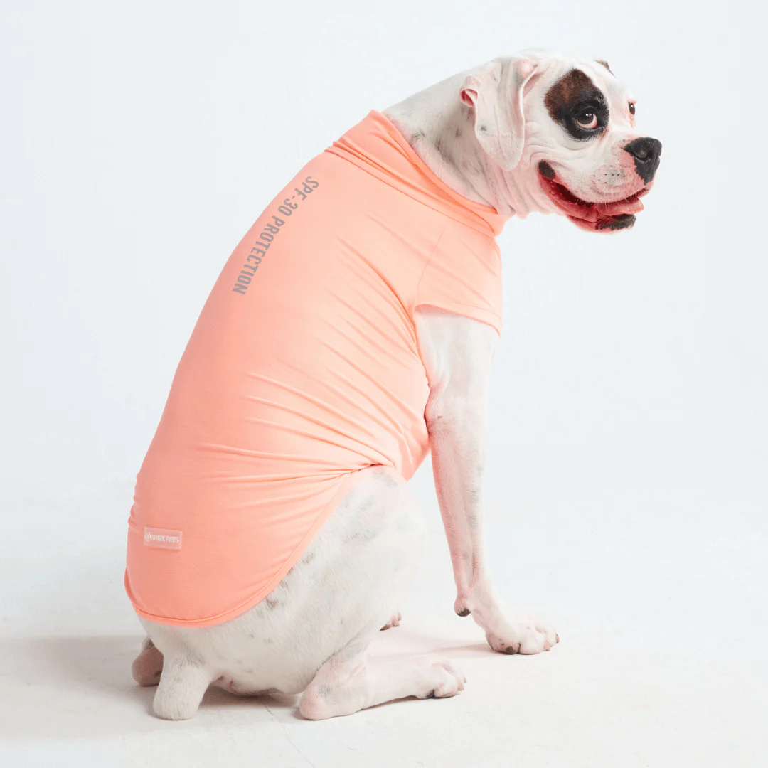 日焼け止め犬用Tシャツ - Image 28