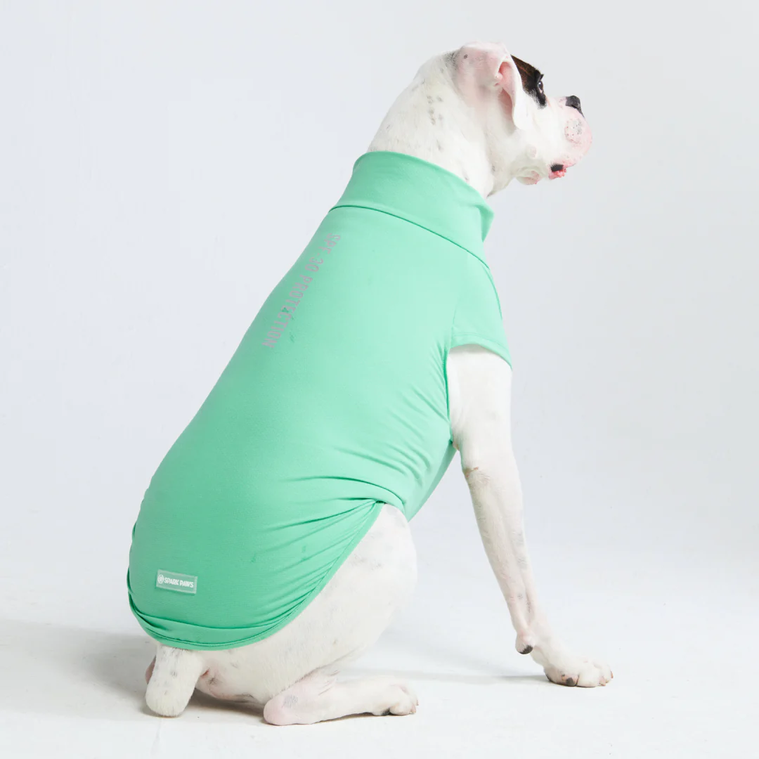 日焼け止め犬用Tシャツ - Image 31