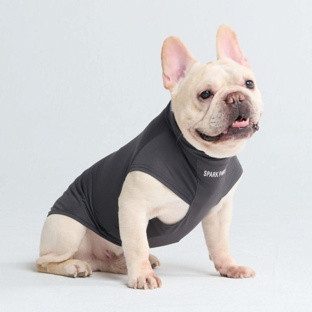 日焼け止め犬用Tシャツ - Image 39