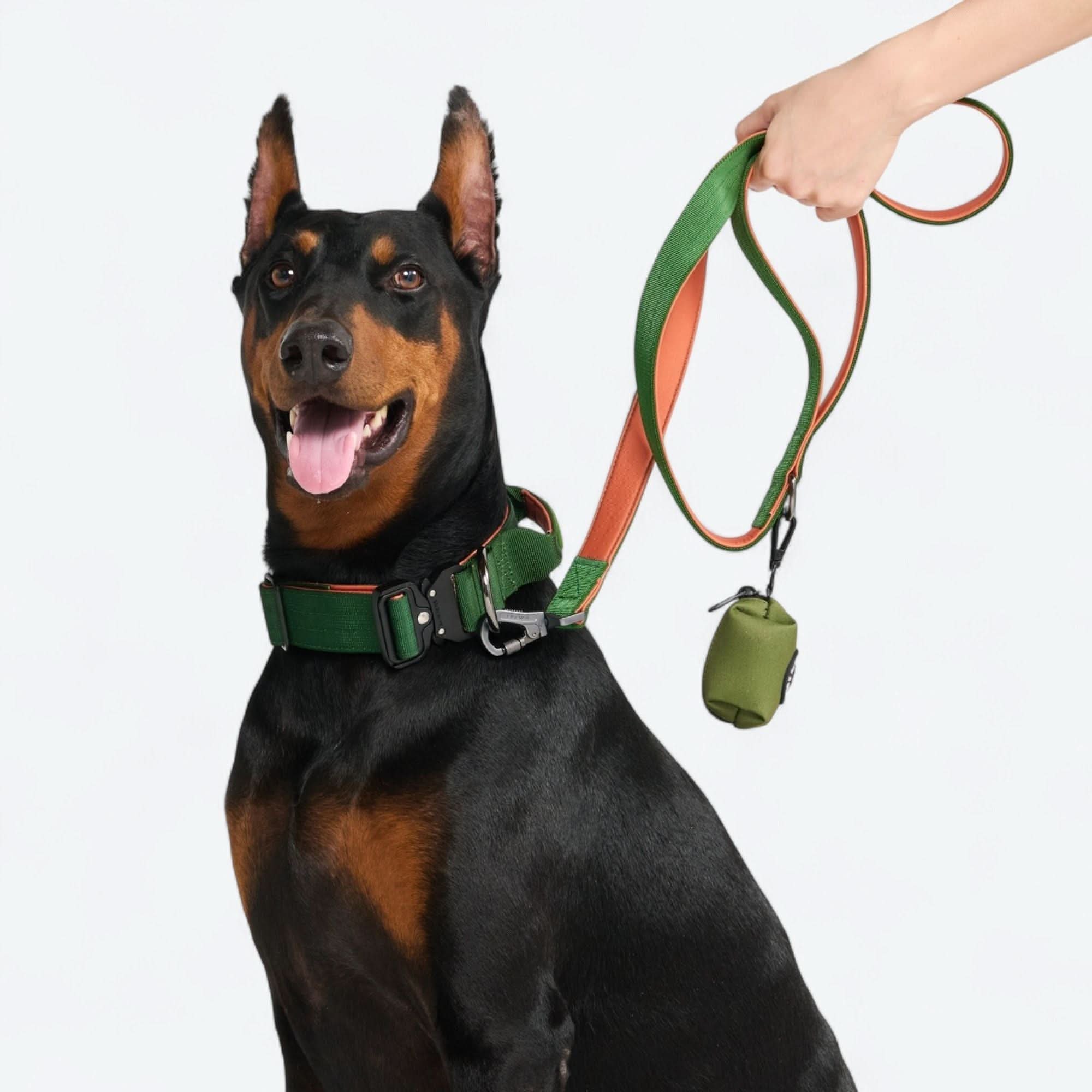 戦術的な犬用首輪セット - マルチカラー (2"/5cm) - Image 71